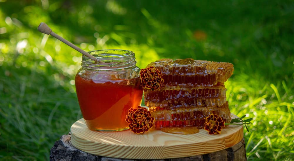 সুন্দরবনের প্রাকৃতিক মধু সংগ্রহ